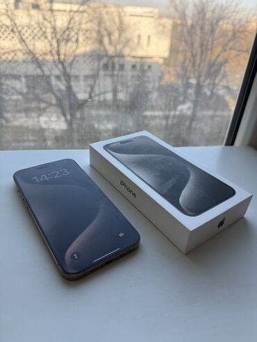 Apple iPhone: IPhone 15 Pro Max, Б/у, 256 ГБ, Natural Titanium, Зарядное устройство, Чехол, Кабель, 91 %