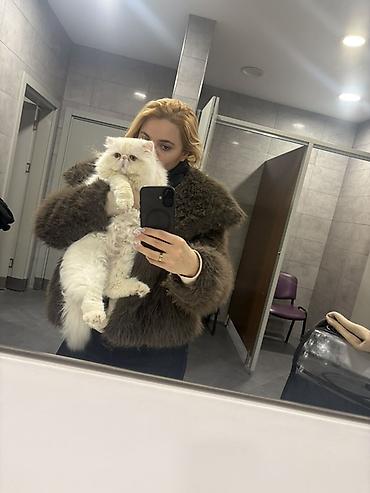 drap paltolar erkaklar uchun: Erkek pişik cutlesdirilir — 1