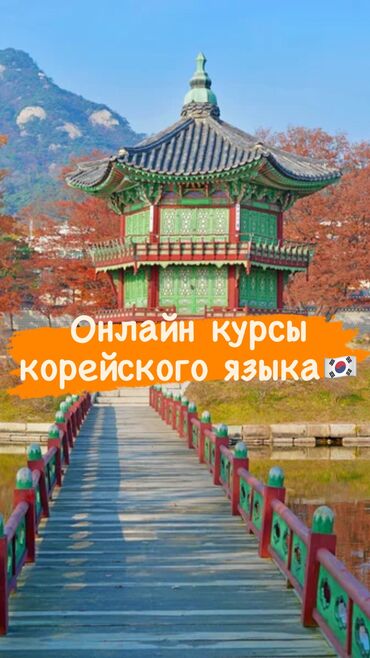 эндокринолог онлайн консультация бишкек: Языковые курсы | Корейский | Для детей, Для взрослых