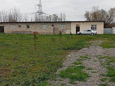 daşınmaz emlak: Ferma 60 sot sahəsində yerləşir. Qaz,su,işiq daimidir. Şəxsi artezani — 10