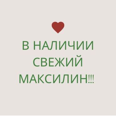 оптом детское питание: Максилин! Пробиотик устойчивый к антибиотикам! Натуральный