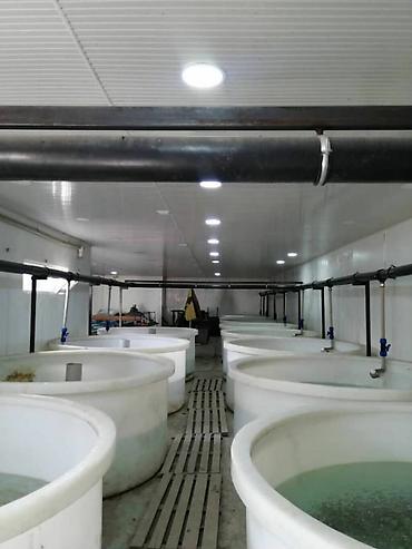 Продажа цехов, заводов, фабрик: С оборудованием, Действующий, 300 м² — 5