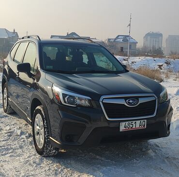 Subaru: Subaru Forester: 2019 г., 2.5 л, Типтроник, Бензин, Кроссовер