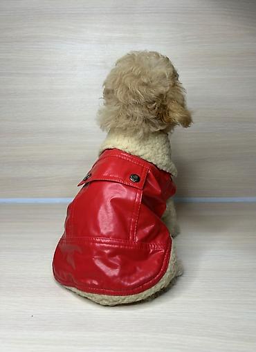 Зоотовары: Одежда для кошек и собак. Все НОВОЕ РАЗМЕР И ЦЕНА УКАЗАНЫ НА ФОТО — 1