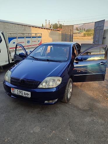 Toyota Corolla: 2004 г., 1.6 л, Бензин, Седан — 6