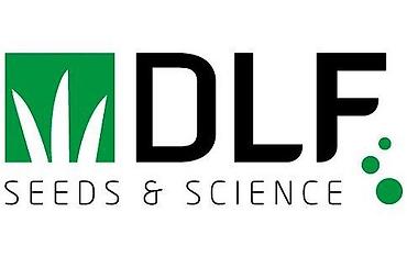 белый клевер купить: Продаю СЕМЕНА ГАЗОНА (производство Дания, DLF)🇩🇰🇰🇬 Следующие виды — 4
