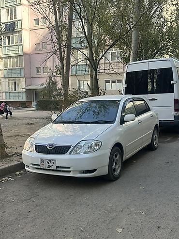 Toyota Allex: 2002 г., Автомат, Бензин, Хэтчбэк