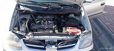 385 55: Nissan Almera Tino: 2002 г., 1.8 л, Механика, Бензин, Хэтчбэк — 2