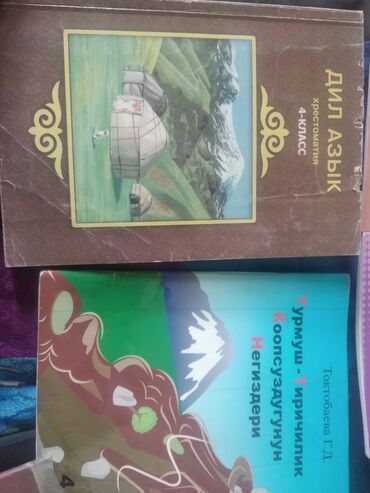 книга кыргыз адабият 6 класс: Книги бу по по 120 турмуш тирикчиль за 3 класс по 50 жазуу.Адабият по