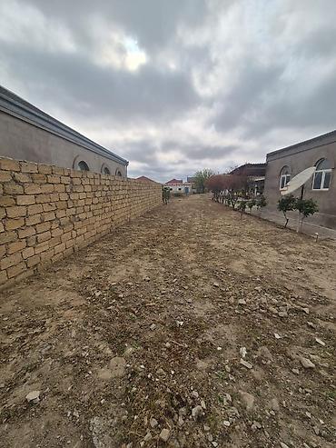 kənt colpası: 10 sot, Kənd təsərrüfatı, Maklerlər narahat etməsin — 8