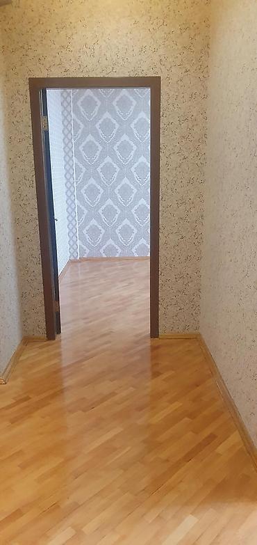 ev kirayesi: İnqilabda . Tibb universitetinə çox yaxın uzunmüddətə verilir — 10