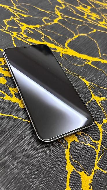 iphone da max: IPhone 12 Pro Max, 256 GB, Face ID — 6