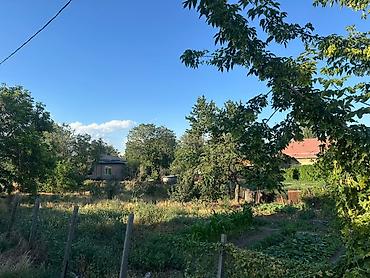 Продажа домов: Продаю дом с участком 14,3 соток Новопавловка ул Ала-арчинская — 3