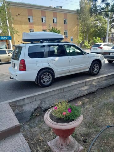 аато под выкуп: Subaru Forester: 2002 г., 2 л, Автомат, Бензин, Универсал