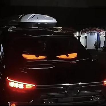 led пленка: Гибкий светодиодный LED‑дисплей для авто/грузовиков - Назначение — 5