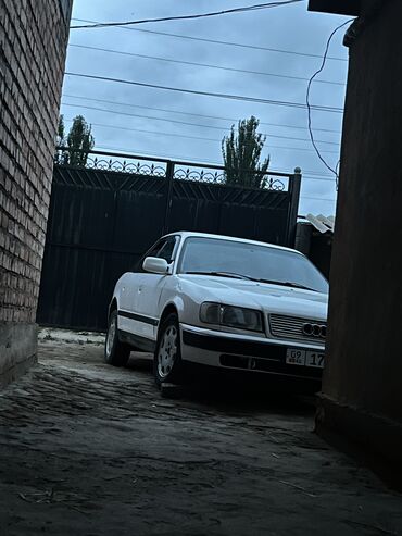 машина для картинга: Audi 100: 1993 г., 2.6 л, Механика, Бензин