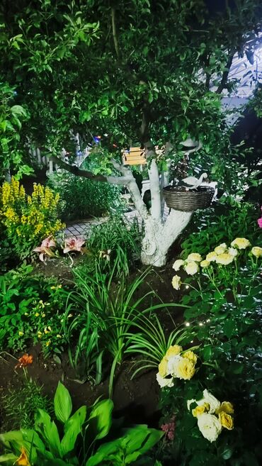 Продажа домов: Дача, 140 м², 5 комнат, Собственник — 6