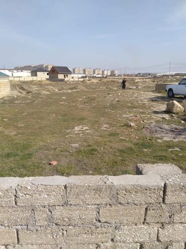 кристал абшерон хырдалан: 3 sot, Kupça (Çıxarış)