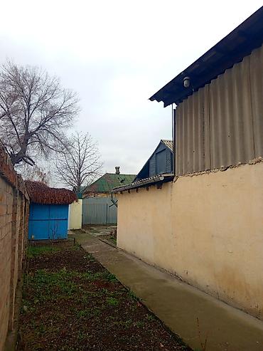 Продажа коттеджей и домов: Продается участок с домом, центр с. Новопавловка, 9 соток, район рынка — 9