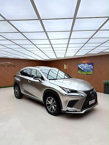 все для машины: Lexus NX: 2020 г., 2 л, Автомат, Бензин, Кроссовер — 1