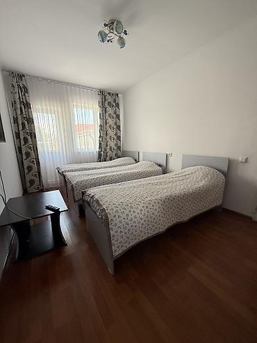garden hotel: Гостевой дом с уютным двором и комнатами - Зеленый, ухоженный — 2
