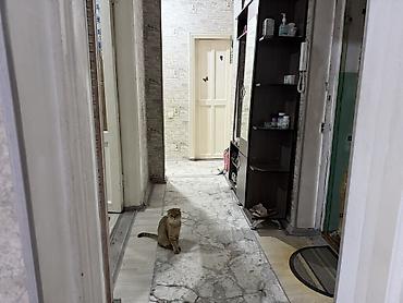 стройител: 2 комнаты, 45 м², Городок строителей Сталинка, 3 этаж, Косметический ремонт — 4