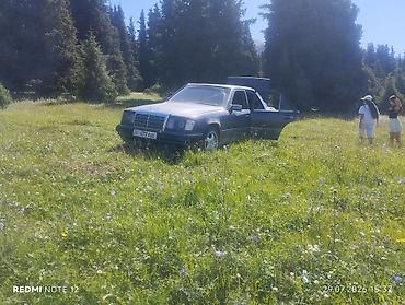 Продажа авто: Mercedes-Benz W124: 1990 г., 2.9 л, Механика, Дизель, Седан — 4