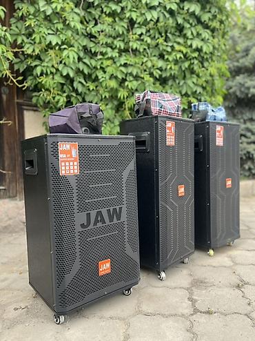 cd disk: Портативная акустическая система JAW (уличная/сценическая колонка на — 3