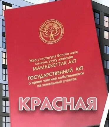 арча бешик 1: 21 соток, Курулуш, Кызыл китеп