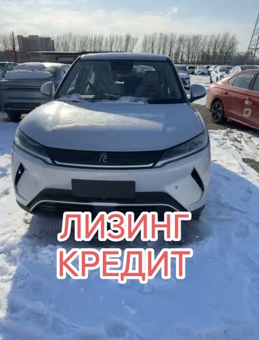 BYD: BYD Yuan Up: 2025 г., Электромобиль, Кроссовер — 1