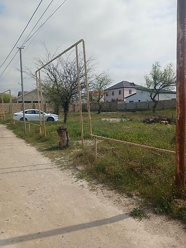 bagi: 6 sot, Tikinti, Mülkiyyətçi, Kupça (Çıxarış) — 2