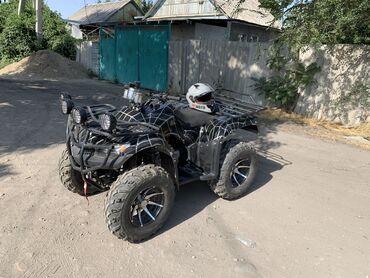 спортивный руль на ктм мото: Квадроцикл Бензин, 250 куб. см, Чоңдор үчүн