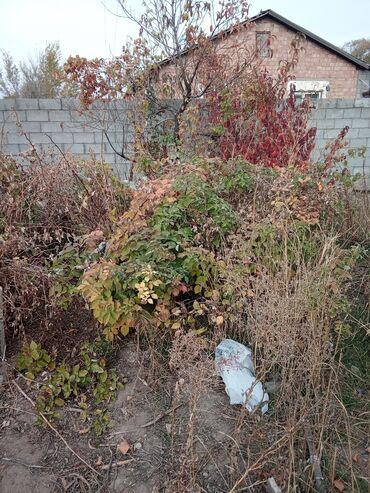 Продажа домов: Коттедж, 67 м², 3 комнаты, Собственник, Косметический ремонт — 15