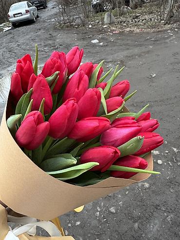 Букеты из живых цветов: Тюльпаны голландские ОПТОМ с луковицей и в розницу с оформлением (не — 16