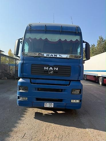 Тягач, MAN, 2002 г., Шторный