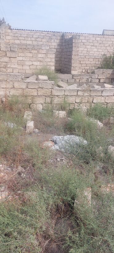 Torpaq sahələrinin satışı: 8 sot, Mülkiyyətçi, Bələdiyyə — 13