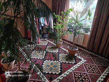 Продажа барачных домов: Продаётся уютный дом в Ысык-Көле село Барскоон хороший сад 20 соток — 22