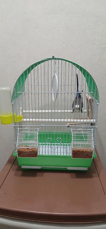Зоотовары: Клетка для мелких и средних декоративных птиц (волнистые попугаи — 1