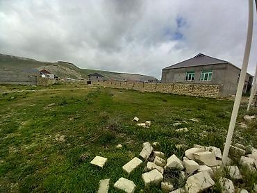 Torpaq sahələrinin satışı: 8 sot, Tikinti, Kupça (Çıxarış) — 12