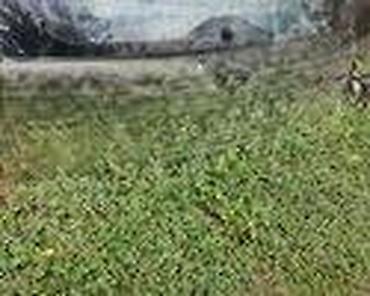 Glave motora: MOTORIC ZADNJIH VRATA ZA FORD C-MAX, FIESTA, FOCUS . OD 2002. DO — 20