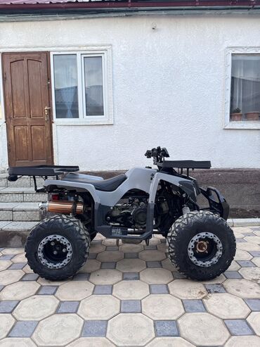 Квадроциклы: Квадроцикл Бензин, 250 куб. см, Взрослый — 7