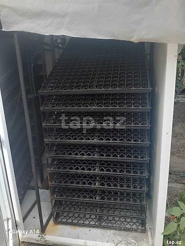 donər evi icarə: Turkiye istehsali olan 5000yumurta tutmu olan pesekarASK KULUCA — 3