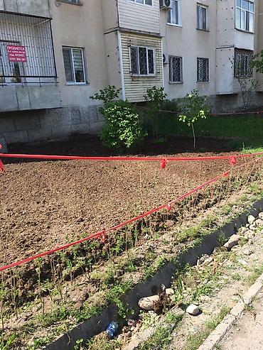 Продажа квартир: 4 комнаты, 88 м², 106 серия улучшенная, 1 этаж, Дизайнерский ремонт — 11