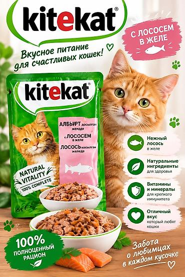 породистые кошки в добрые руки: Делаю карточки в типе этого — 1