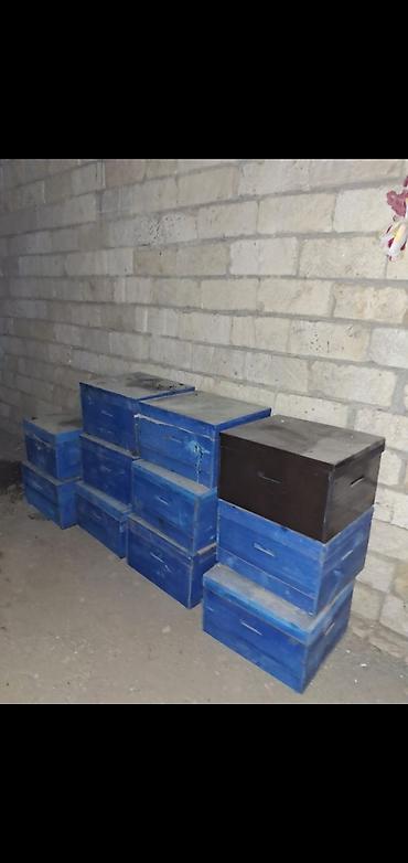 etibarli ellere it: Ari yeşik Arıçılıq üçün taxta pətək qutuları LENKARANdadir ari — 3