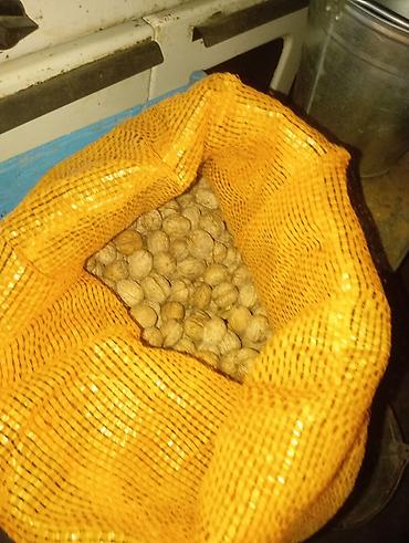 вакуумный упаковка: Грецкий орех, В скорлупе, Оптом — 2