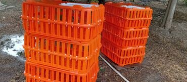 Akvarium aksessuar və ləvazimatları: Təcili satılır.6 ədədi 240manat — 7