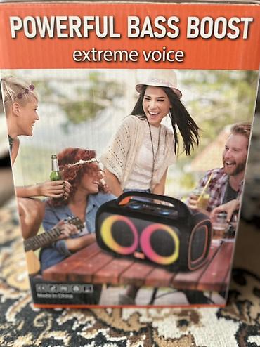 ace pro: Портативная акустика Sing-e ZQS‑L19 - Формат: Outdoor Portable — 9