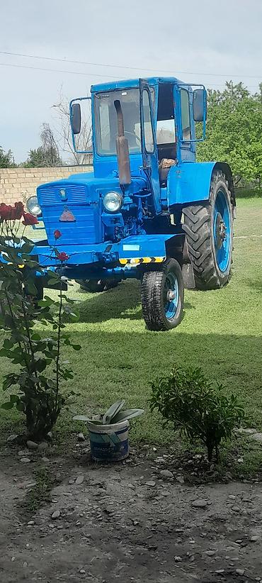 Traktorlar: Traktor Belarus (MTZ) T28, 1995 il, 999 at gücü, motor 10 l, Yeni — 5