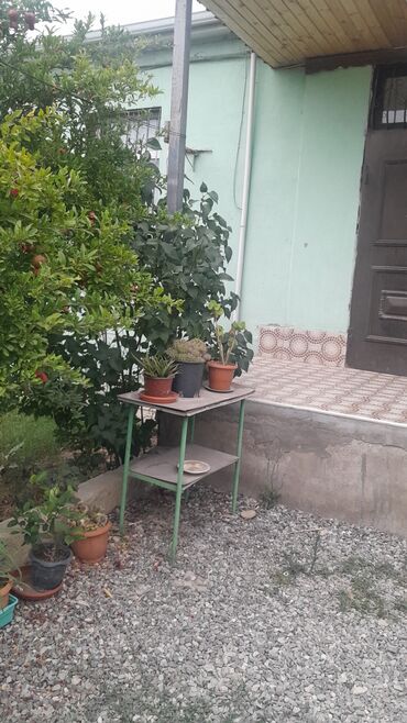Həyət evləri və villaların satışı: 3 otaqlı, 97 kv. m, Kredit yoxdur, Yeni təmirli — 13